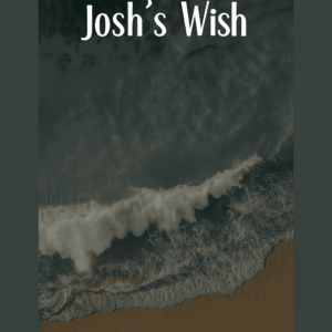 Josh's Wish. A short horror story.
